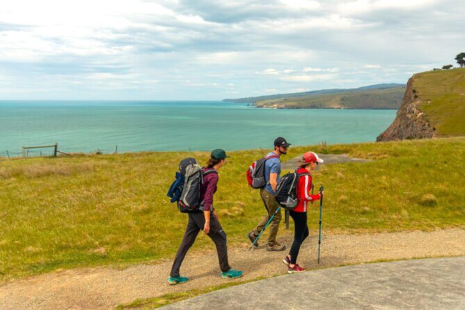Godley Head & Lyttelton Scenic Drive & Guided Walk (Private Tour) - The Itinerary in Detail