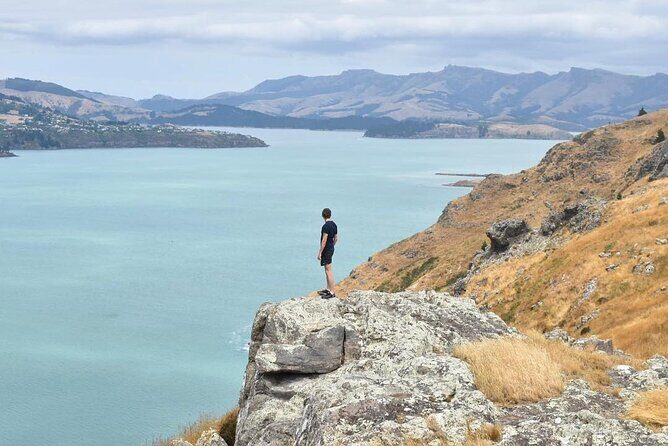 Godley Head & Lyttelton Scenic Drive & Guided Walk (Private Tour) - The Practical Side: Pricing, Duration, and Booking