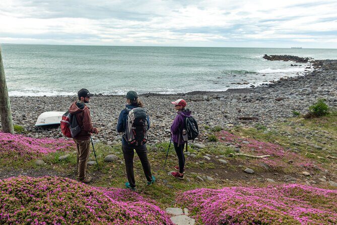 Godley Head & Lyttelton Scenic Drive & Guided Walk (Private Tour) - Who Should Consider This Tour?