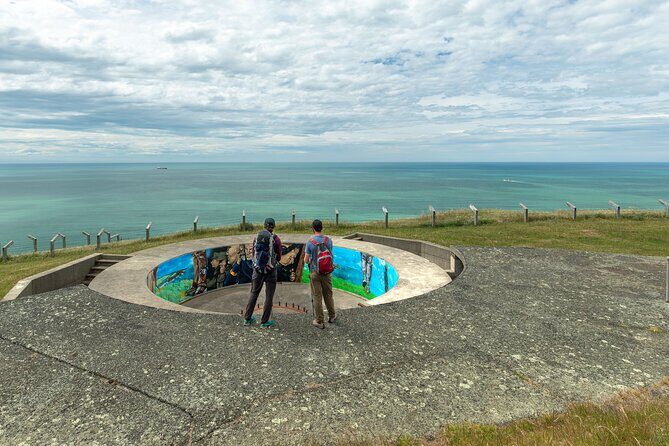 Godley Head Scenic Drive & Guided Walk (Shore Excursion) - The Sum Up