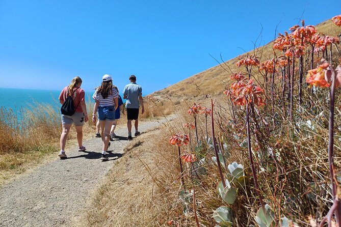 Godley Head Scenic Drive & Walking Tour (Private Shore Excursion) - Practicalities and Considerations