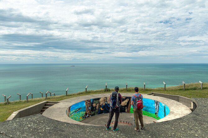 Godley Head Scenic Drive & Walking Tour (Private Shore Excursion) - FAQ