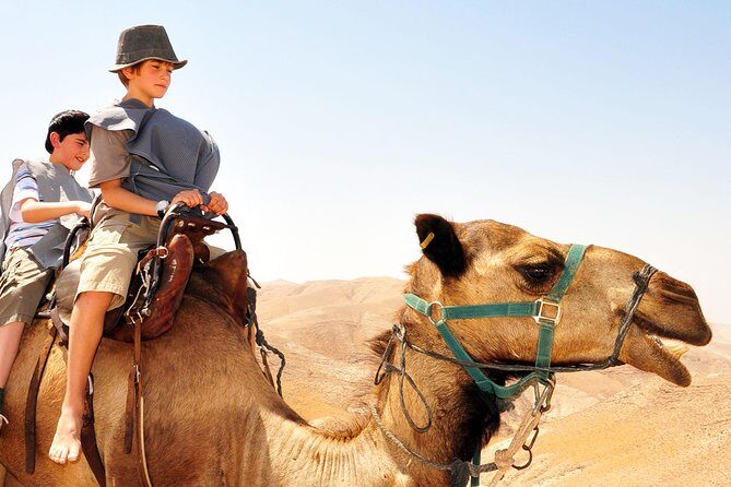GoKEDEM Masada, DeadSea Camel Ride & Beduin Feast Tour From Tel Aviv - In-Depth Review of the Tour Experience