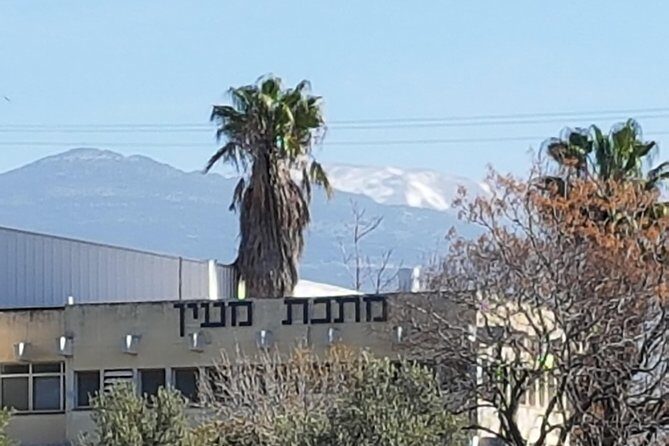 Golan Heights Private Tour from Tel Aviv - The Experience: What Sets It Apart