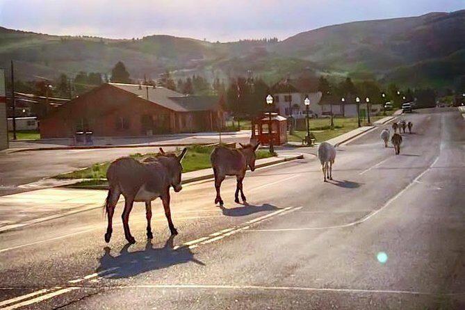 Gold Belt Scenic Byway Jeep Tour from Cañon City - Key Points