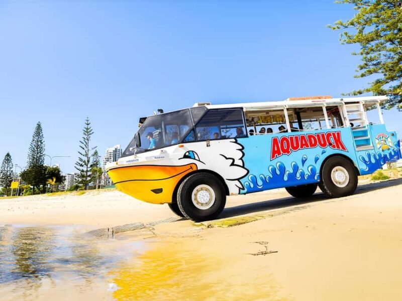 Gold Coast: 1-Hour Land and Water Duck Tour - Key Points