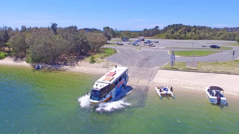 Gold Coast: 1-Hour Land and Water Duck Tour - The Sum Up: Who Will Love This Tour?