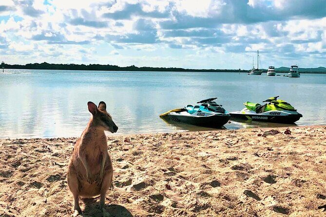 Gold Coast 30 Minute Jetski Tour in Surfers Paradise - Introduction: What to Expect from This Jetski Adventure