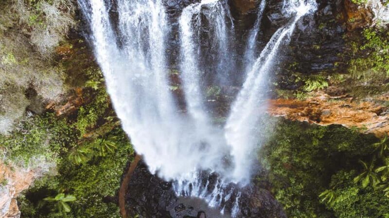 Gold Coast: 6 Waterfalls, Koalas & Natural Bridge Day Tour - Discover the Hidden Gems of Springbrook on This Waterfalls, Koalas & Natural Bridge Tour