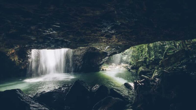 Gold Coast: 6 Waterfalls, Koalas & Natural Bridge Day Tour - Key Points