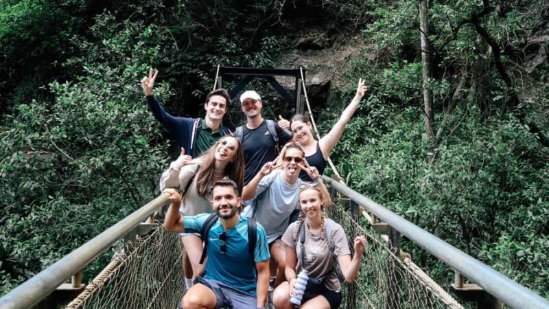 Gold Coast: 6 Waterfalls, Koalas & Natural Bridge Day Tour - Who Will Love This Tour?
