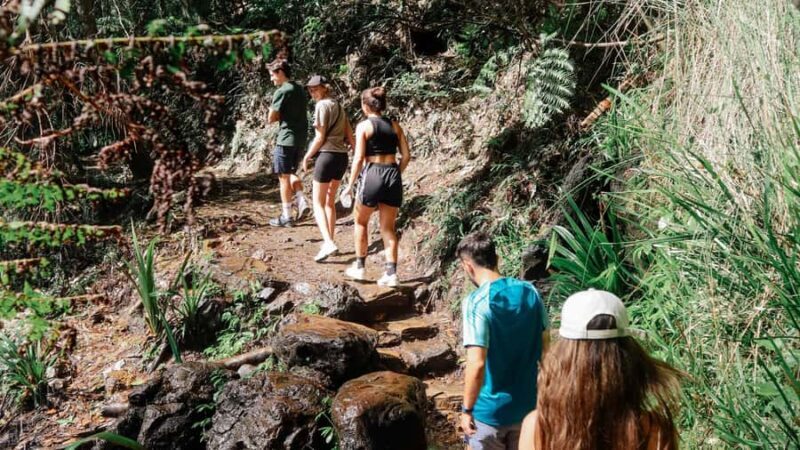 Gold Coast: 6 Waterfalls, Koalas & Natural Bridge Day Tour - Final Thoughts