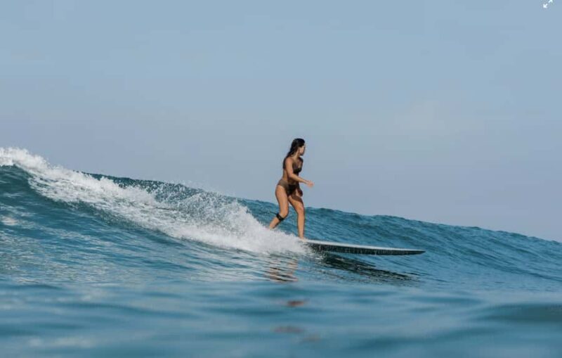 Gold Coast: Adult Group Surf Lesson (16+) - Key Points