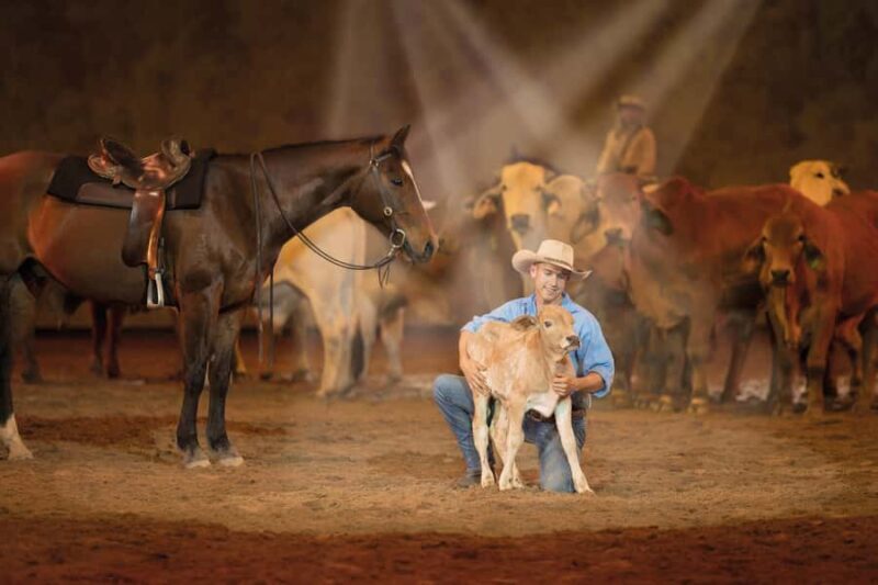 Gold Coast: Australian Outback Spectacular Dinner & Show - Seating, Accessibility, and Practical Considerations