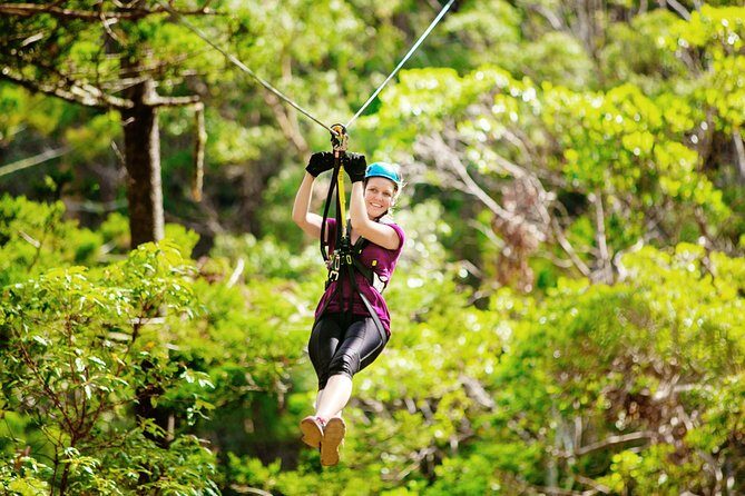 Gold Coast Canyon Flyer Zipline Tour - Key Points
