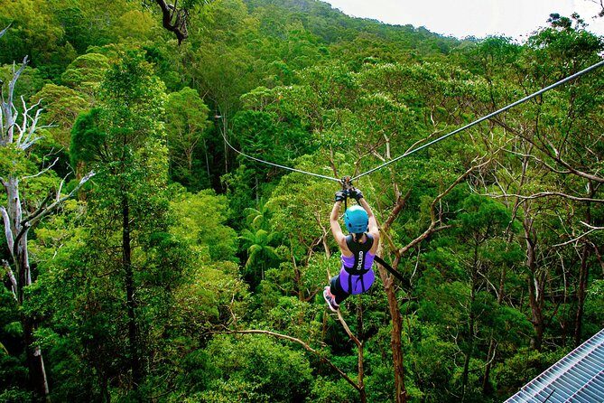 Gold Coast Canyon Flyer Zipline Tour - A Deep Dive into the Zipline Experience