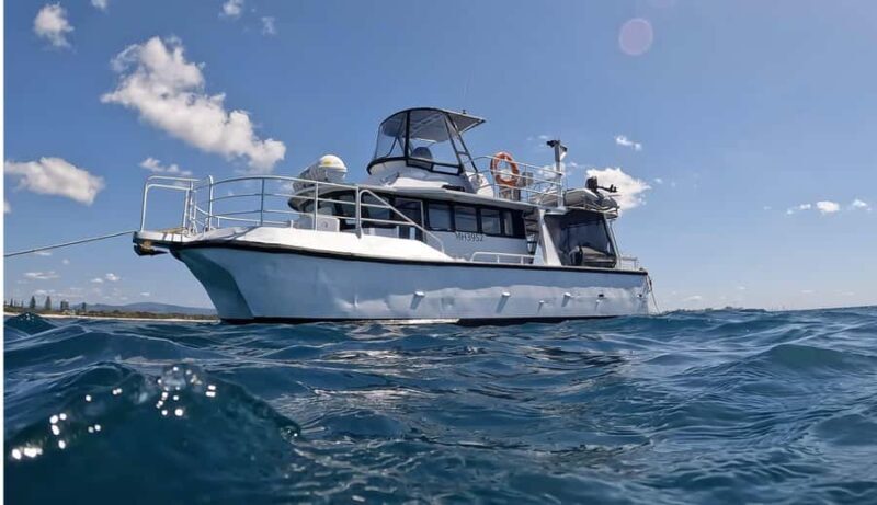 Gold Coast: Cook Island Marine Reserve Scuba Experience Dive - Exploring Cook Island Marine Reserve: What You Can Expect