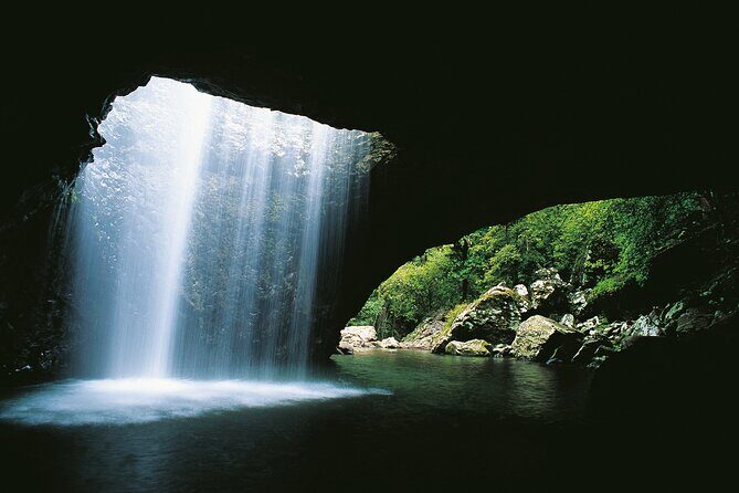 Gold Coast Day Tour From Brisbane - Final Thoughts: Is This Tour Worth It?