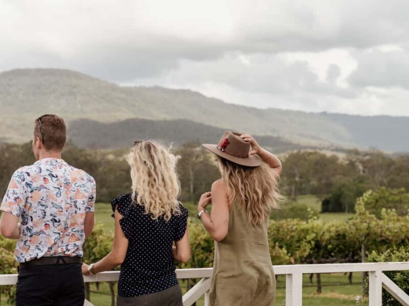 Gold Coast: Daytime Glow Worm Caves and Hop-on Hop-off Tour - Key Points