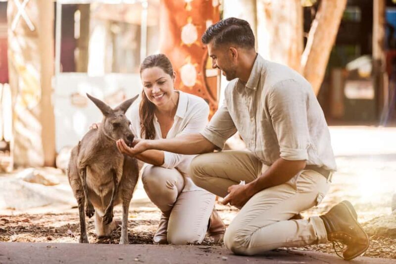 Gold Coast: Dreamworld 1-Day Entry Ticket - Key Points
