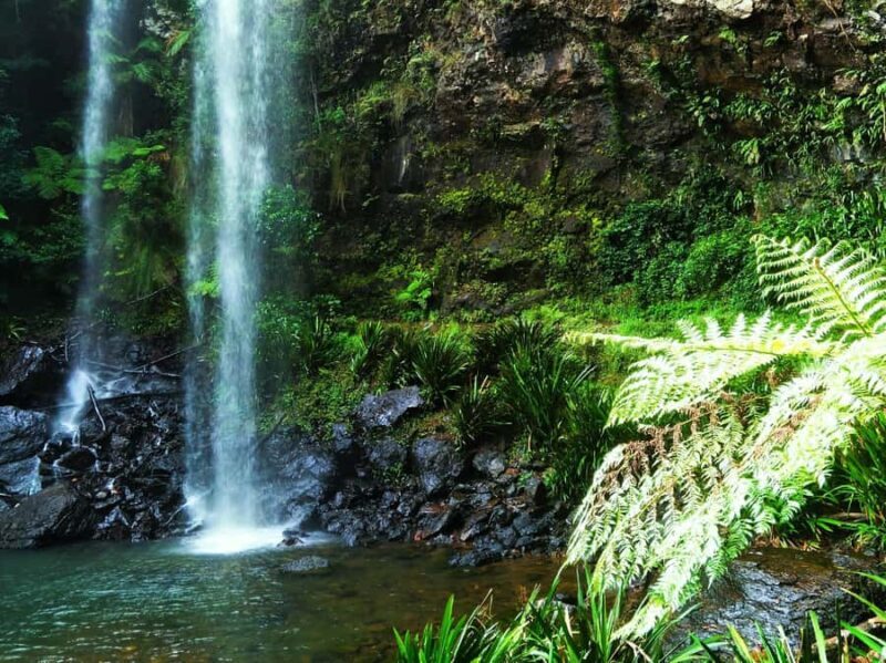 Gold Coast: Glow Worms Day/Night Rainforest & Waterfall Walk - Who Should Consider This Tour?