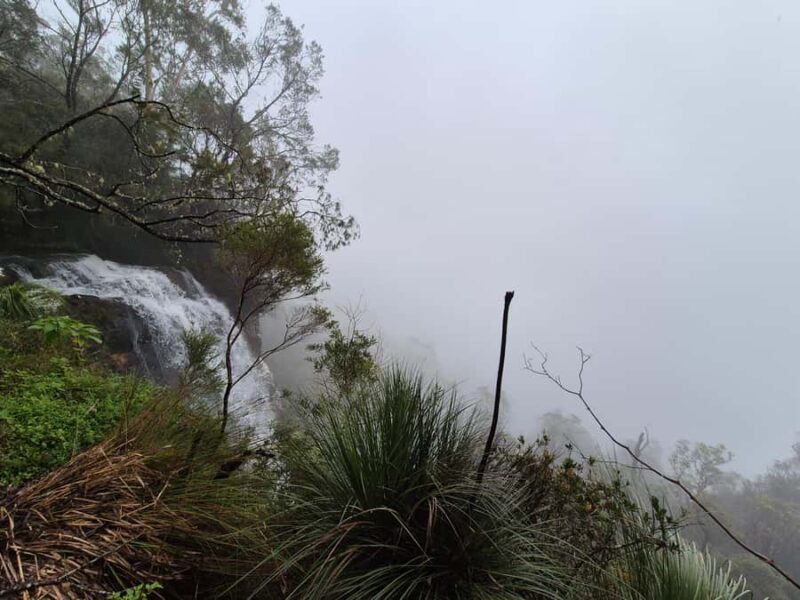 Gold Coast: Glow Worms Day/Night Rainforest & Waterfall Walk - The Sum Up: Is It Worth It?