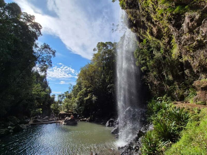Gold Coast: Glow Worms Day/Night Rainforest & Waterfall Walk - FAQ
