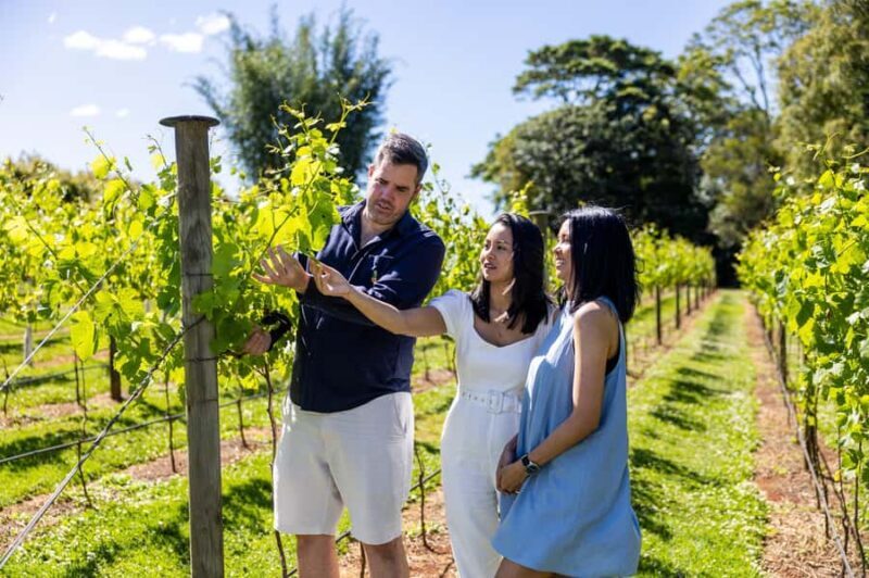 Gold Coast: Hop on Hop off Wine Tasting Tour to Mt Tamborine - Who Will Love This Tour?