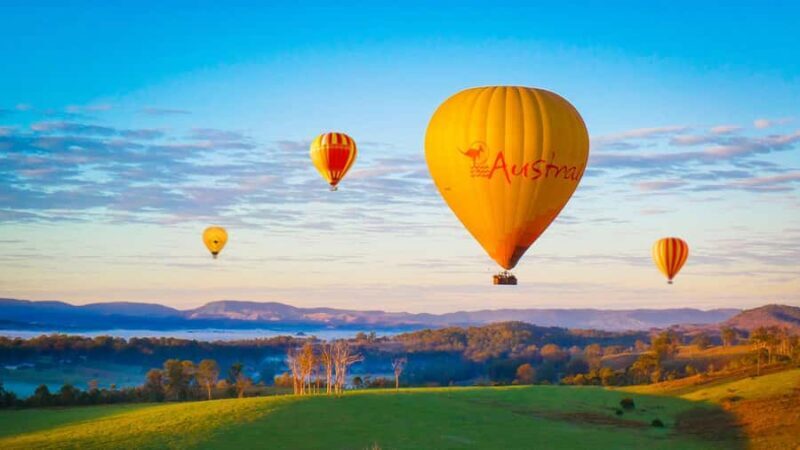 Gold Coast: Hot Air Balloon Flight+Vineyard Breakfast+Alpaca - Key Points