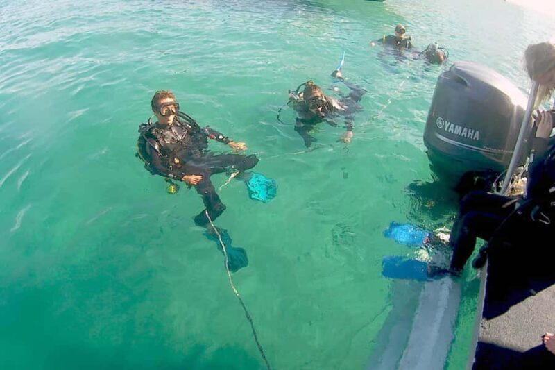 Gold Coast: Introductory SCUBA Diving Experience - The Cost and Value