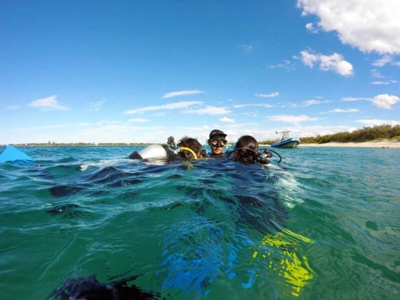 Gold Coast: Introductory SCUBA Diving Experience - Real Traveler Feedback: Honesty About the Experience
