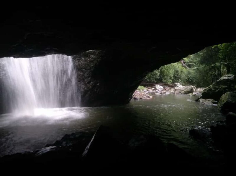 Gold Coast: Kangaroos, Rainforest & Waterfalls Experience - Frequently Asked Questions