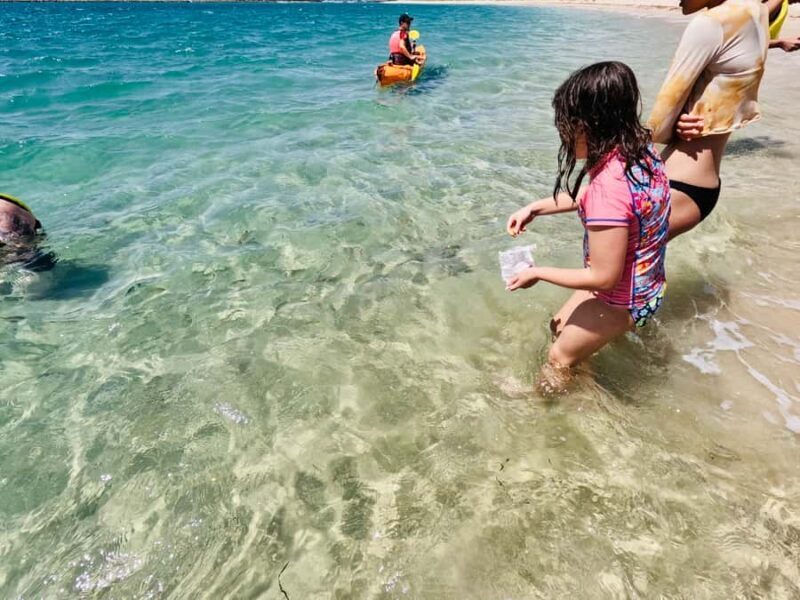 Gold Coast: Kayaking and Snorkeling Guided Tour - Group Size and Atmosphere