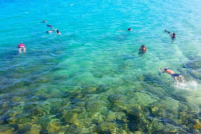 Gold Coast Kayaking & Snorkelling Tour (2.5 Hours) - Setting the Scene: What to Expect from the Tour
