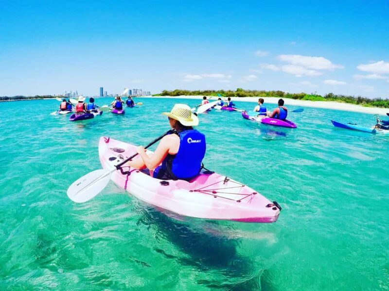Gold Coast: Kayaking & Snorkelling Tour with Fish Feeding - Discovering the Calm Gold Coast Waterways