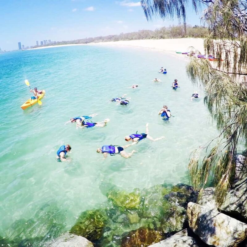 Gold Coast: Kayaking & Snorkelling Tour with Fish Feeding - Wildlife Encounters and Natural Beauty