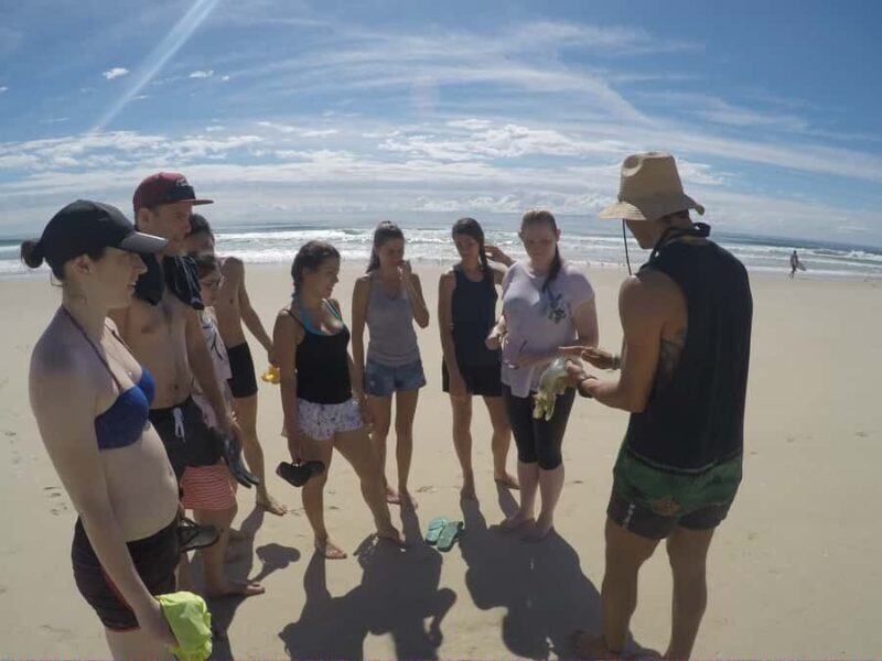 Gold Coast: Kayaking & Snorkelling Tour with Fish Feeding - Who Should Consider This Tour?
