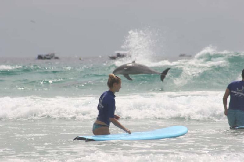Gold Coast: Learn to Surf Experience with Lunch & Activities - The Wildlife & Cultural Aspects