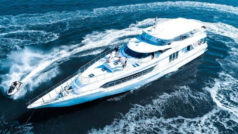 Gold Coast: Luxury Whale Watching Tour - Who Should Consider This Tour?