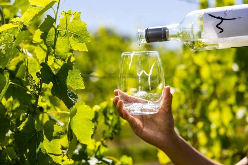 Gold Coast: Luxury Wine Tour with Gourmet Lunch & Distillery - What Travelers Are Saying