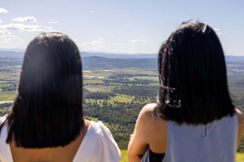 Gold Coast: Luxury Wine Tour with Gourmet Lunch & Distillery - The Practicalities: What’s Included and What You Should Know