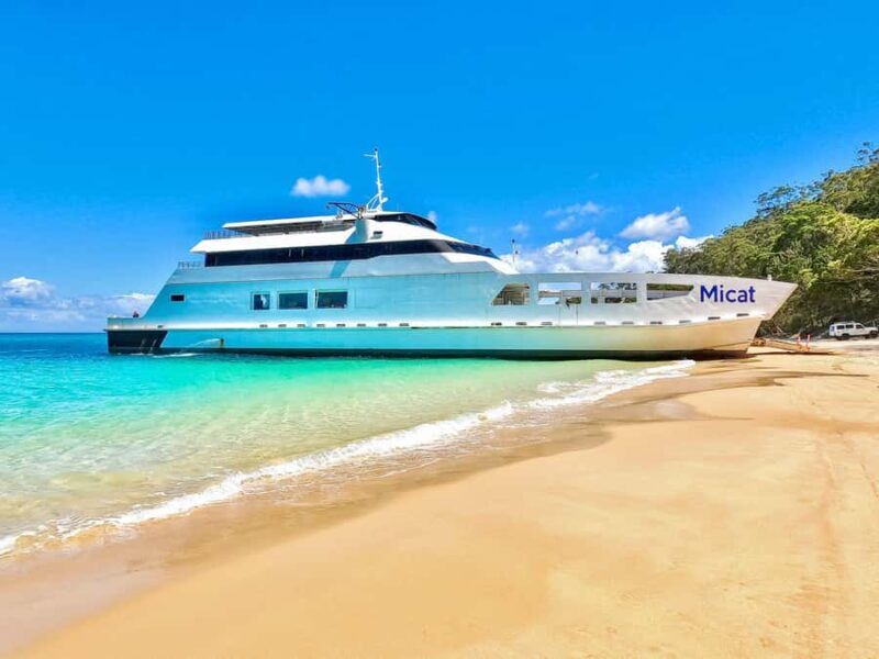 Gold Coast: Moreton Island Day Trip Kayak & Sandboarding - Authentic Perspectives from Travelers