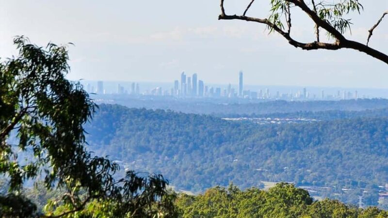 Gold Coast: Mount Tamborine Kangaroo and Koala Day Tour - Flexibility & Cancellations