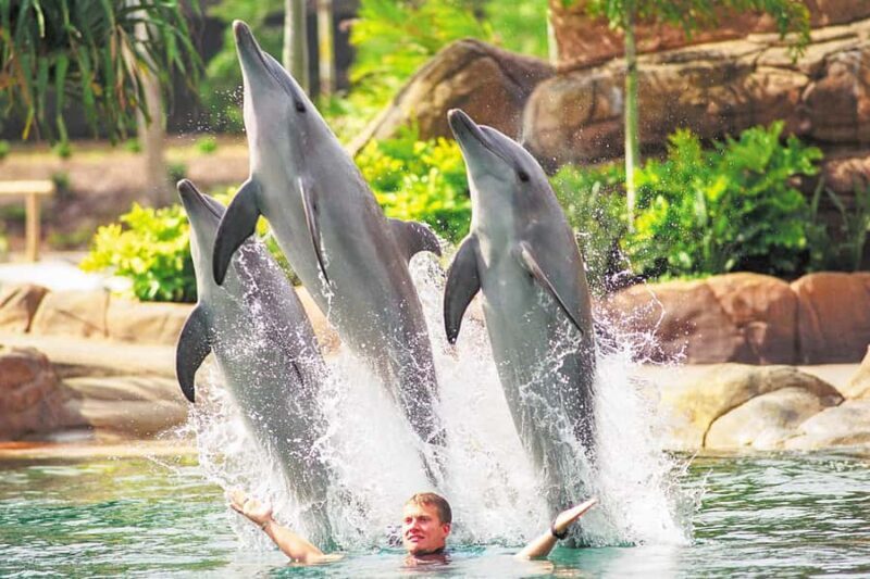 Gold Coast: Movie World, Sea World, Wet'n'Wild 14-Day Pass - An In-Depth Look at the Theme Parks