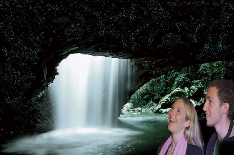 Gold Coast: Natural Bridge Glow Worm Night Tour - An In-Depth Look at the Experience