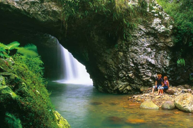 Gold Coast: Natural Bridge Glow Worm Night Tour - Authenticity and Reviews