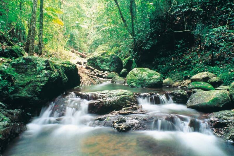 Gold Coast: Natural Bridge Glow Worm Night Tour - FAQs