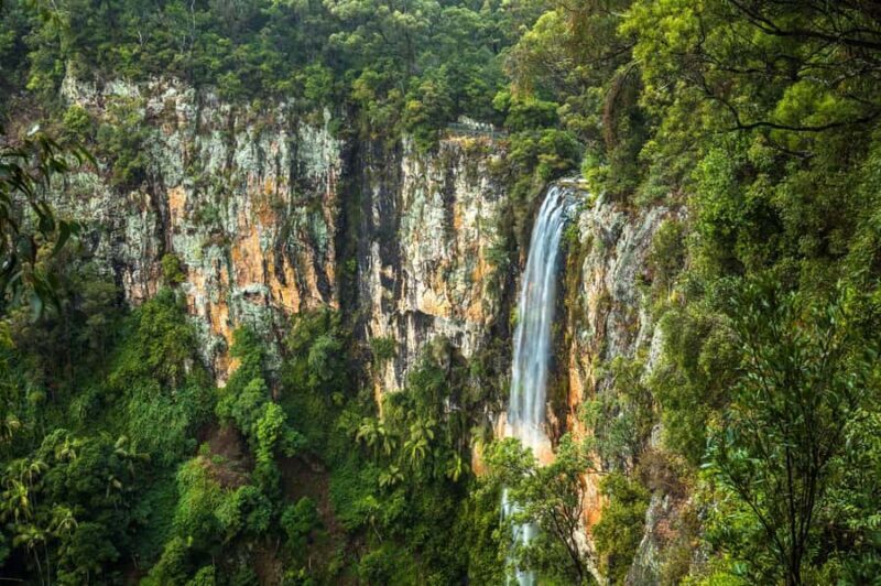 Gold Coast: Natural Bridge & Springbrook Waterfalls Tour - Key Points