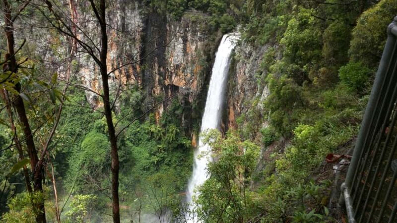 Gold Coast: Natural Bridge & Springbrook Waterfalls Tour - A Tour Packed with Highlights: The Itinerary