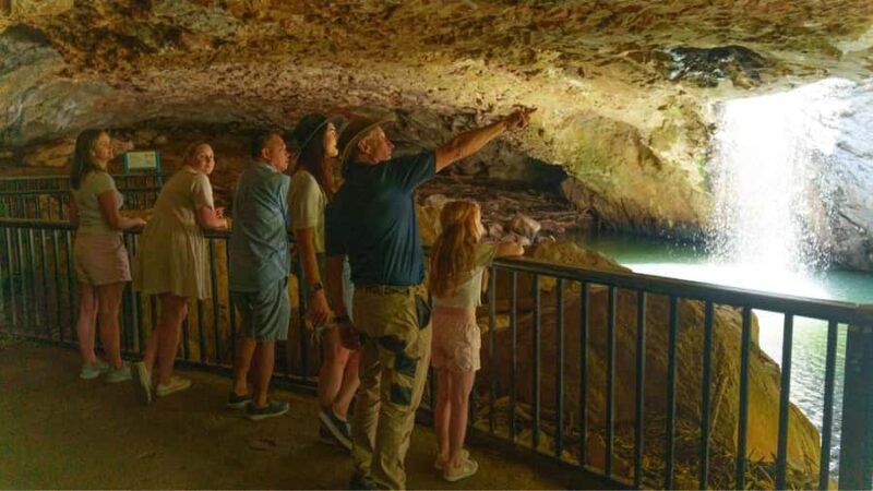 Gold Coast: Natural Bridge & Springbrook Waterfalls Tour - Deep Dive into the Experience